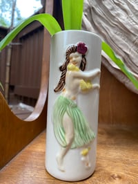 Image 1 of Spider Plant in Tall Hula Dancer 