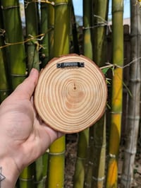 Image 3 of Mink Wall Decor