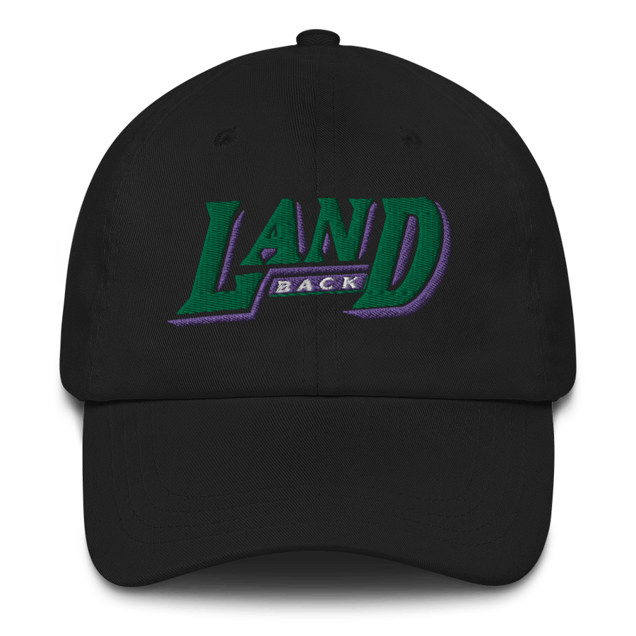 Image of LOWER AZ Arizona Land Back Dad hat