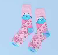 Image 1 of Chaussettes - Fuji