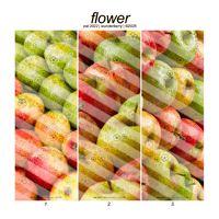 Image 2 of apple deco