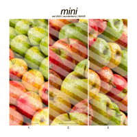 Image 4 of apple deco