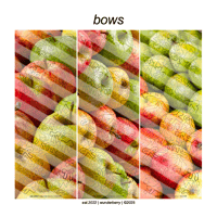 Image 6 of apple deco