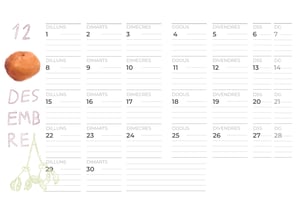 Image of PLANIFICADOR 2025 – 2026