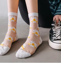 Image 3 of Lazy Daisy Socks