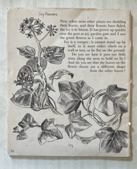 Image 6 of An Open Your Eyes Picture Book Autumn