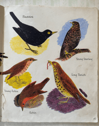 Image 4 of An Open Your Eyes Picture Book Autumn