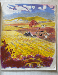 Image 3 of An Open Your Eyes Picture Book Autumn