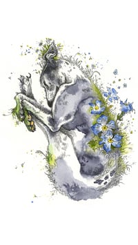 Image 2 of Amber - Print