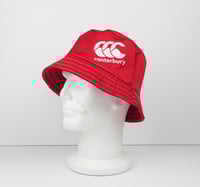 Image 5 of Lions Rugby Bucket [#1]