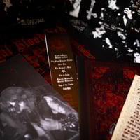 Image 3 of STANDARD EDITION Celestial Bloodshed "Blood Stained Evocations" vinyl 