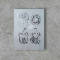 Image 1 of NEW! - Glass Chopping Boards/ Worktop Protectors