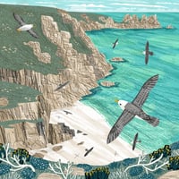Image 2 of Percella Cove Fulmars Small Print