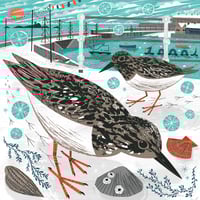 Image 2 of Mousehole Turnstones Small Print