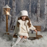 Image 1 of Winter Wonderland - Christmas Mini Session