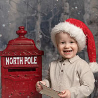 Image 2 of Winter Wonderland - Christmas Mini Session
