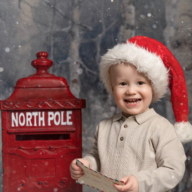 Winter Wonderland - Christmas Mini Session