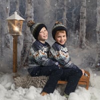 Image 3 of Winter Wonderland - Christmas Mini Session