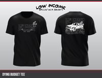 Image 1 of Dying budget 