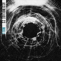 Autographed Assemblage 23 "Null" CD [2025]