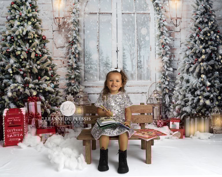 Christmas Mini Sessions - Saturday 15th November 2025 Image 2
