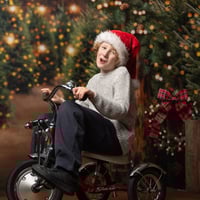 Image 4 of Xmas Tree Farm Fun - Christmas Mini Session