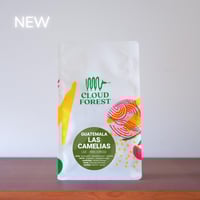 Image 1 of Las Camelias - Guatemala | ESPRESSO