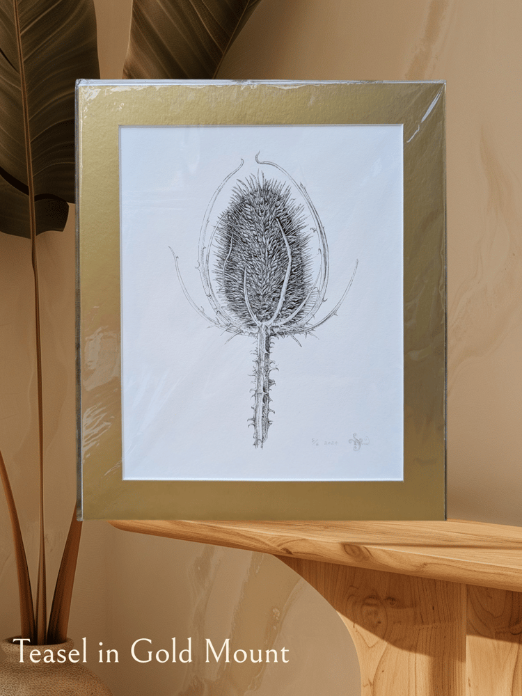 Image of Gold Mounted A4 Special Edition Signed & Numbered Hemp Giclée Prints