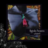 ☽ Digitalis Purpurea ☾