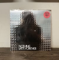Nothing Lasts Forever Limited Edition Vinyl