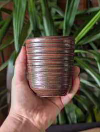 Image 1 of A Nice Cup