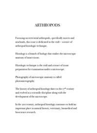 Image 2 of Arthropoda