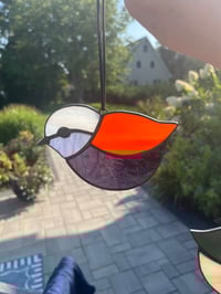 Image 1 of Bluebird