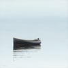 The Tender