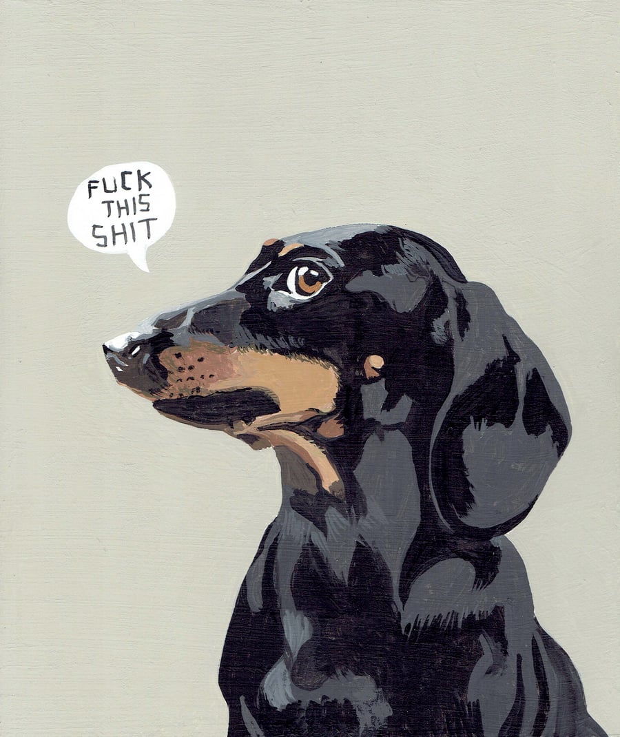 Image of FTS DACHSHUND