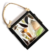 Image 1 of Insect Wing Medley Hanging Small III