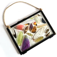 Image 1 of Insect Wing Medley Hanging Large