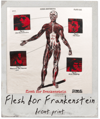 Image 2 of Flesh for Frankenstein aka Andy Warhol's Frankenstein