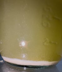 Image 3 of Tallymon F2