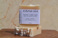 Image 1 of Citrus Ale | Beer & Tallow Soap Bar