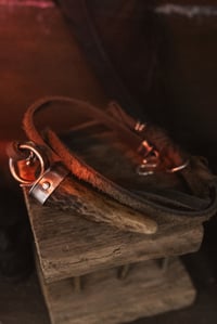 Image 1 of Signal Lost