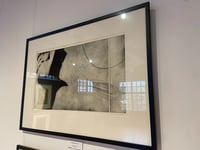 Image 5 of Flying South ( unframed )