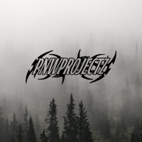 alternative 