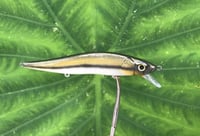 Image 2 of SPEEDBAITS Custom Airbrushed TA 110 Jerkbait SUSPEND 4051