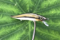 Image 4 of SPEEDBAITS Custom Airbrushed TA 110 Jerkbait SUSPEND 4051