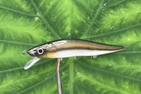 Image 3 of SPEEDBAITS Custom Airbrushed TA 110 Jerkbait SUSPEND 4051