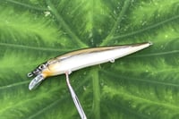 Image 5 of SPEEDBAITS Custom Airbrushed TA 110 Jerkbait SUSPEND 4051