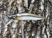 Image 9 of SPEEDBAITS Custom Airbrushed TA 110 Jerkbait SUSPEND 4051