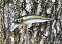 Image 10 of SPEEDBAITS Custom Airbrushed TA 110 Jerkbait SUSPEND 4051