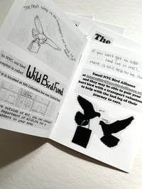 Image 2 of Guide to Helping Pigeons Zine
